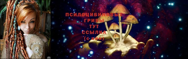 мяу мяу мука Вязьма