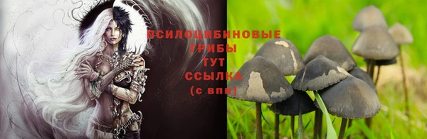 спайс Верея