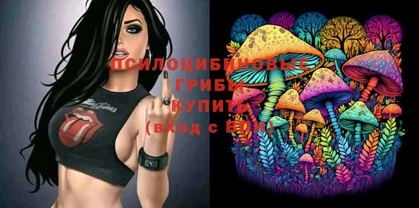 мяу мяу мука Вязьма