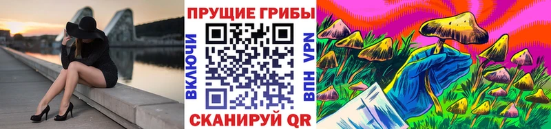 ссылка на мегу   Зарайск  Псилоцибиновые грибы GOLDEN TEACHER 